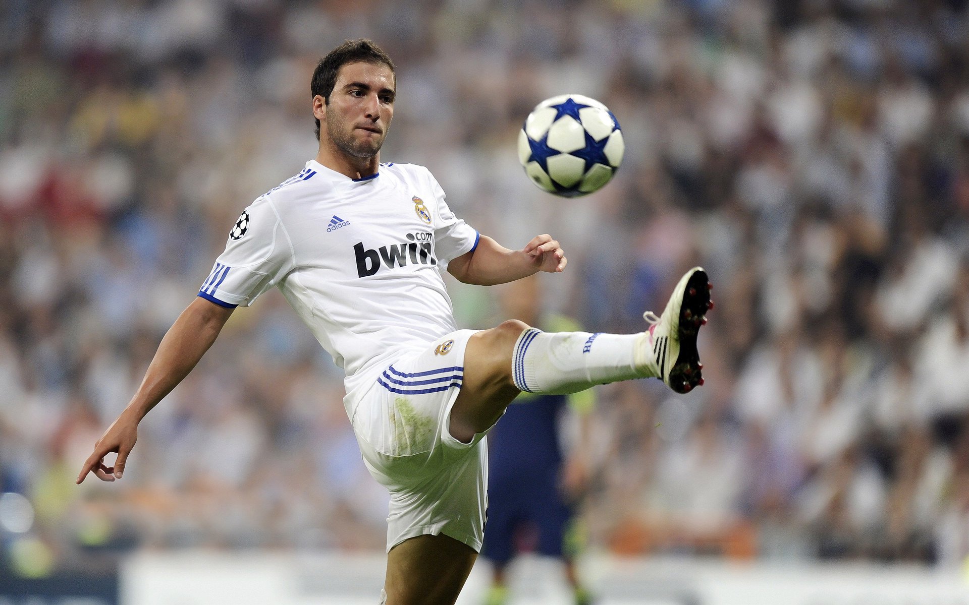 荷兰队在欧洲预赛中持续出色表现，晋级希望增强